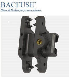 Bacfuse1